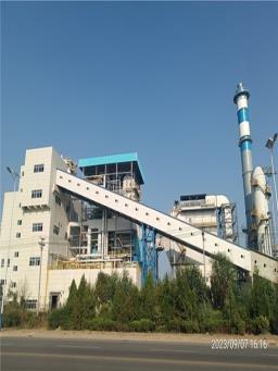 新发药业项目部