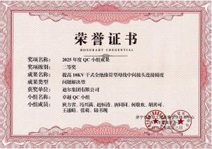 公司荣获“提高10KV干式全绝缘管型母线中间接头连接精度”市级QC成果二等奖