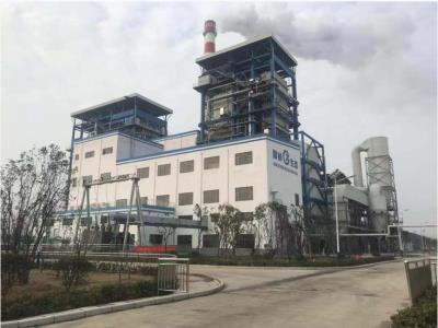 国桢阜阳生物质项目