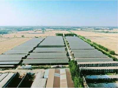 梁山县畜光互补光伏发电项目